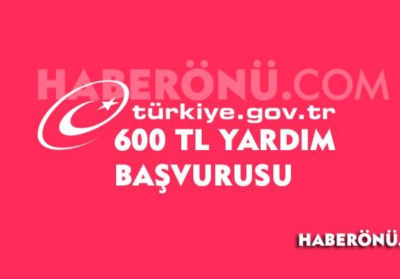 600 TL yardım başvurusu e-devlet?