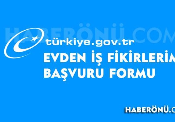 Evden iş fikirlerim 2024? Başvuru formu 2024?