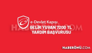 Gelir Yuvan 7.200 TL yardım başvurusu yap 2024?