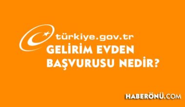 Gelirim evden başvurusu nedir 2024?