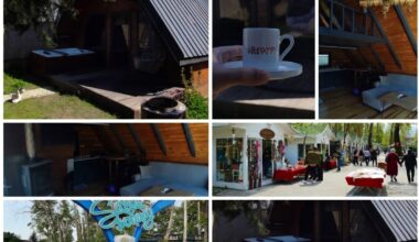 Doğanın Kalbinde Modern Bir Kaçış: Sapanca Aragöl Bungalov